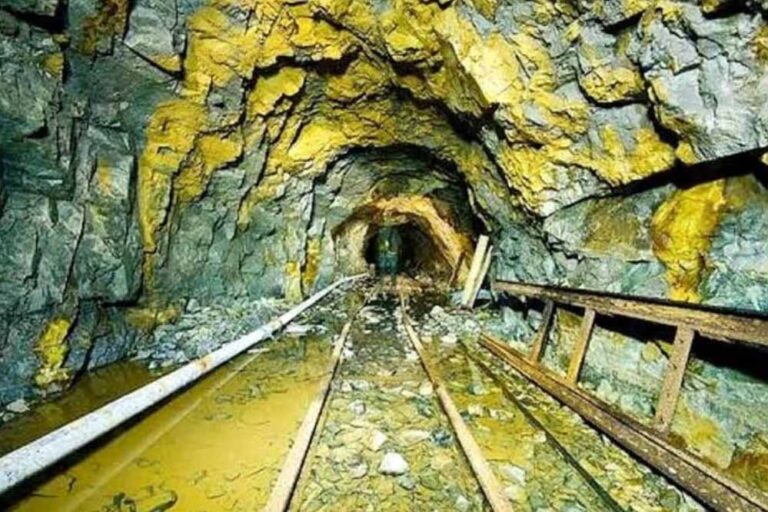 कटनी बना MP की पहली ‘स्वर्णनगरी’, 50 साल बाद मिली सोने की खदान, मार्च से शुरू होगा खनन