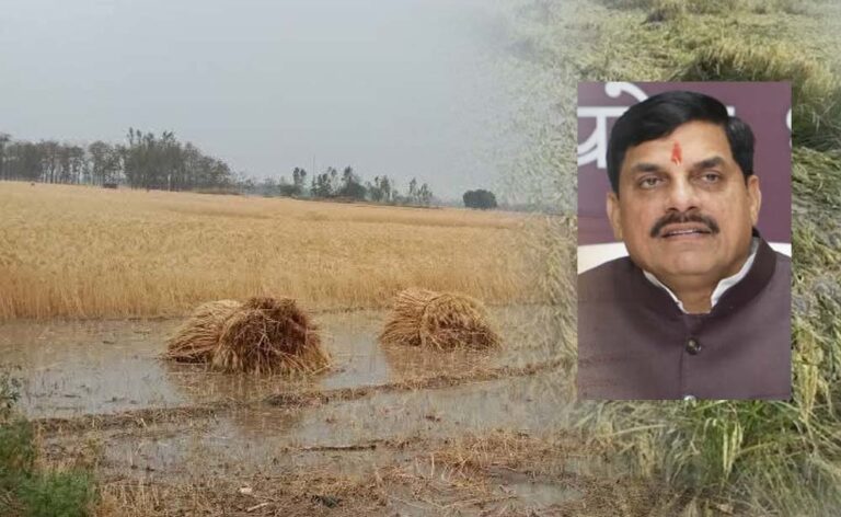 एमपी के 25 जिलों में बारिश से फसलें बर्बाद, सीएम मोहन ने दिए तत्काल राहत के निर्देश