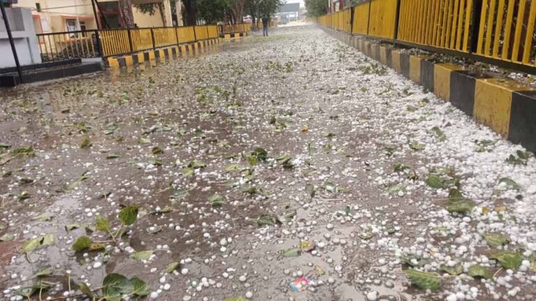 IMD का अलर्ट: बर्फीली हवाओं और काली घटाओं के साथ MP के 25 जिलों में मावठा बारिश, ठंड बढ़ेगी