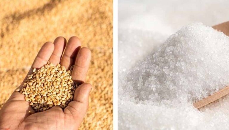 किसानों को बड़ी राहत: सरकार ने 25 लाख टन गेहूं और 5 लाख टन चीनी के निर्यात को दी मंजूरी