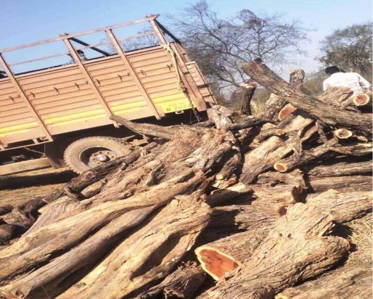 खैर लकड़ी की अंतर्राज्यीय तस्करी का भंडाफोड़