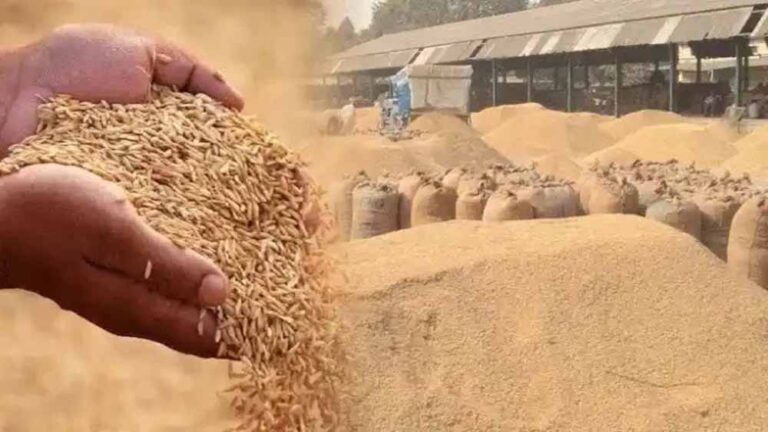 407 करोड़ का आज होगा भुगतान, 106830 किसान होंगे लाभान्वित