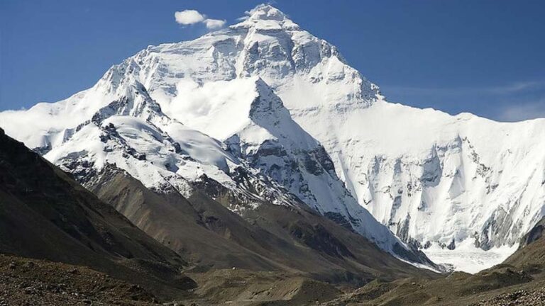 हिमालय से गायब हो रहे पेड़, सरकारी रिपोर्ट में खुलासा- 2 साल में 2.2% ग्रीन कवर हुआ खत्म