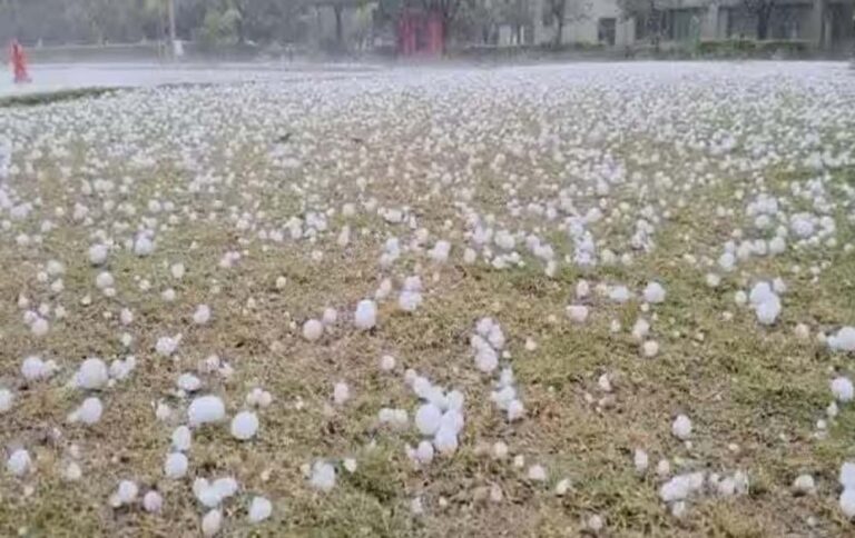 प्रदेश के 42 जिलों में तबाही, ओलावृष्टि-बारिश से फसलें बर्बाद, 14 जिलों में आज भी खतरा