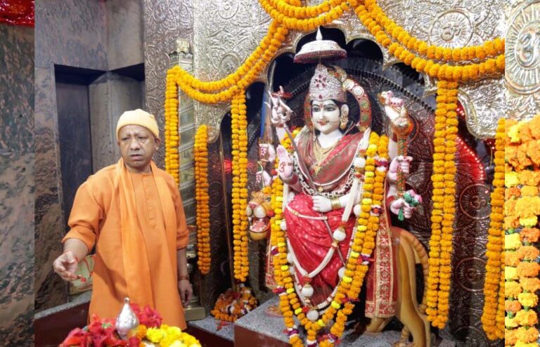 स्वदेशी गो-संवर्धन योजना में तेज प्रगति पर फोकस, सभी जिलों में बढ़ी रफ्तार