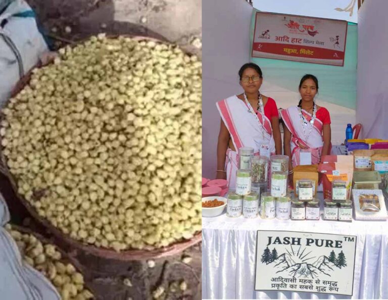 आदि परब में जशप्योर स्टॉल की धूम: महुआ को मिला सुपरफूड का दर्जा