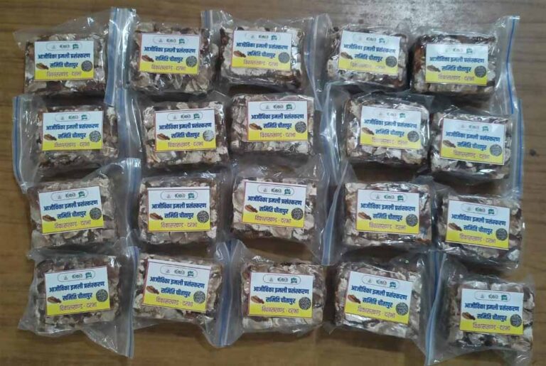 वनांचल की किस्मत बदलने वाली फसल साबित हुई इमली