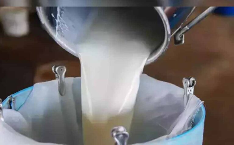 हौसले और मेहनत से पूजा ने रचा सफलता का नया अध्याय, 80 लाख का वार्षिक कारोबार