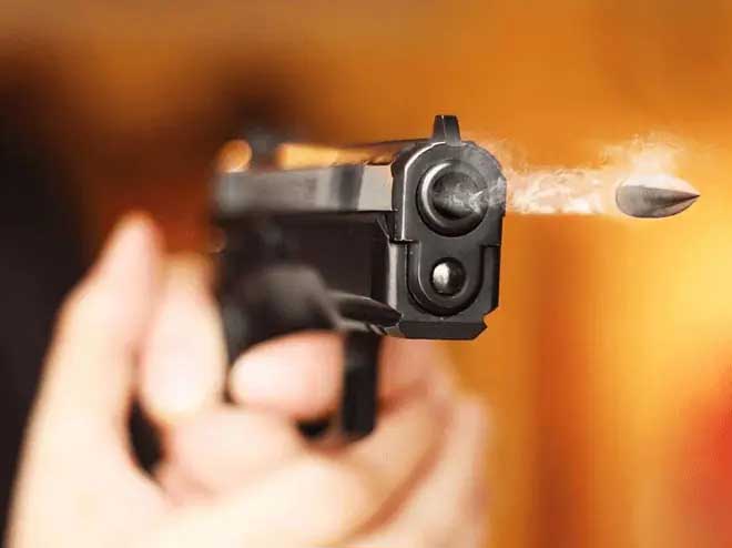 होली मिलन समारोह में ताबड़तोड़ फायरिंग से अफरा-तफरी, भोजपुरी सिंगर के शो में चली 100 गोलियाँ; तीन घायल