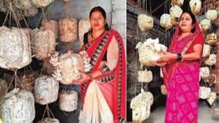 महिला उद्यमिता से ग्रामीण अर्थव्यवस्था को मिल रही नई मजबूती