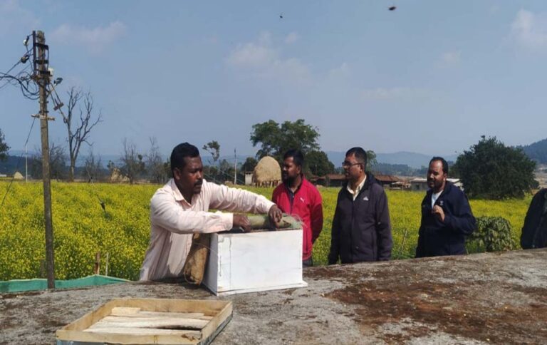 रायपुर : मधुमक्खी पालन: कम लागत में ज्यादा मुनाफे का बेहतर विकल्प