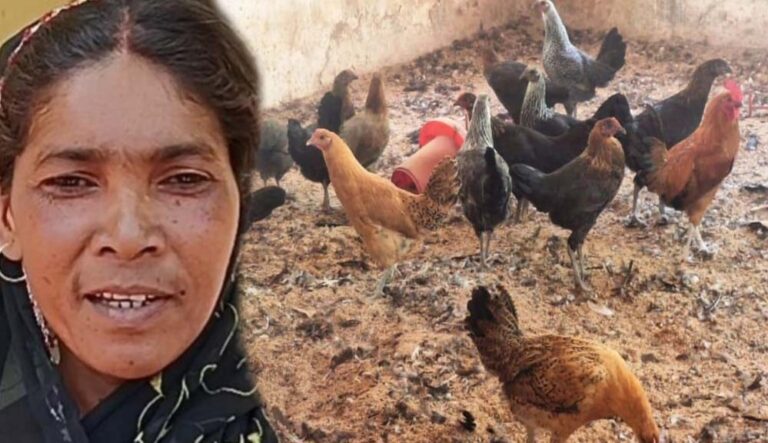 गौठान से बदली तस्वीर: धोवाताल बना आत्मनिर्भर मॉडल गांव, पलायन पर लगी रोक