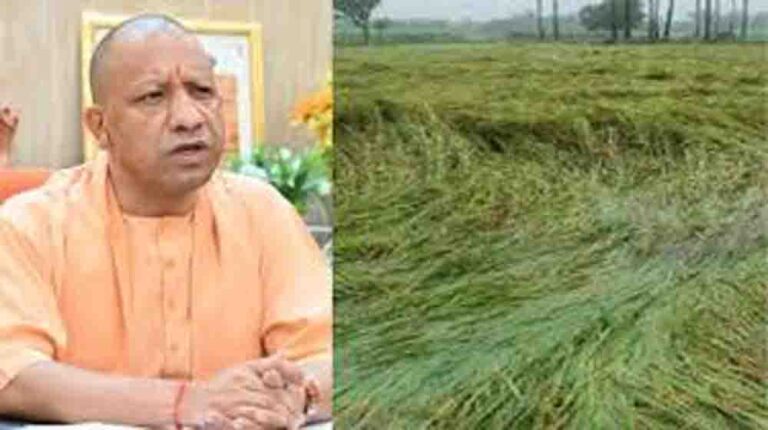 किसानों की फसल नुकसान पर मुख्यमंत्री गंभीर, तत्काल राहत वितरण के निर्देश