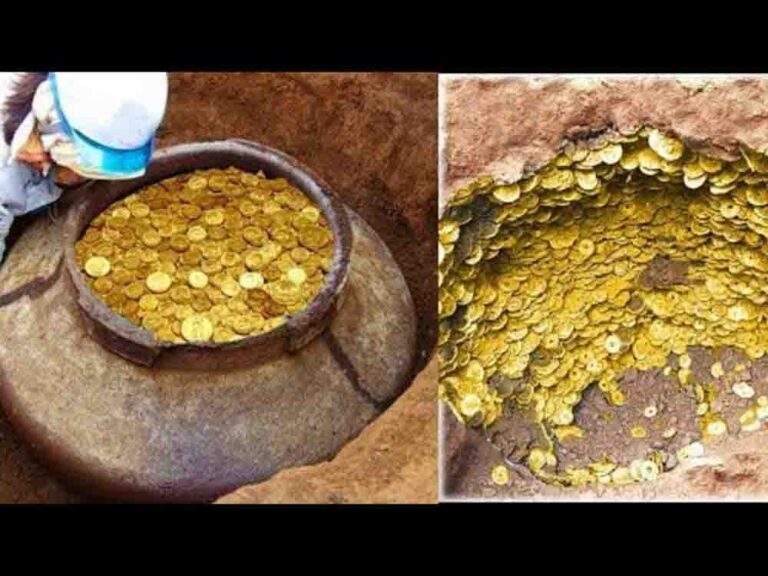 ललितपुर में खुदाई के दौरान ‘खजाना’ मिलने का दावा, गांव में मची हलचल