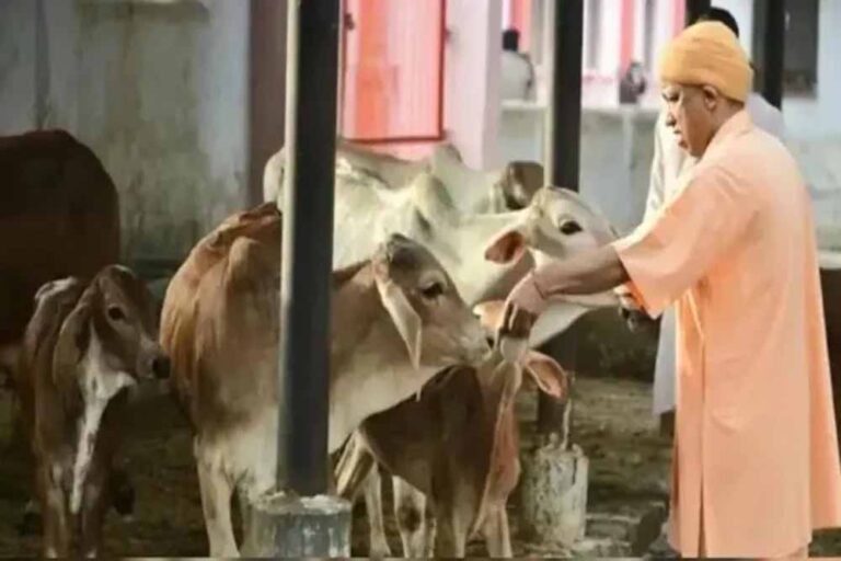 योगी सरकार में बढ़ा 40 फीसदी दुग्ध उत्पादन, देश में यूपी नंबर वन