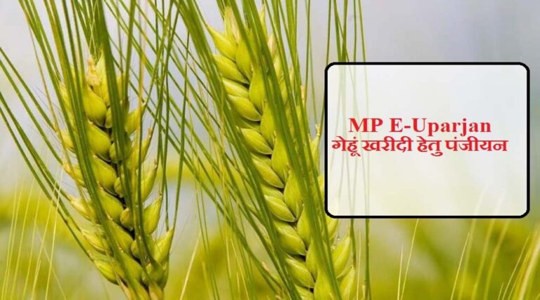 अनूपपुर जिले में गेहूँ उपार्जन 15 अप्रैल से प्रारंभ, 6 केंद्र निर्धारित