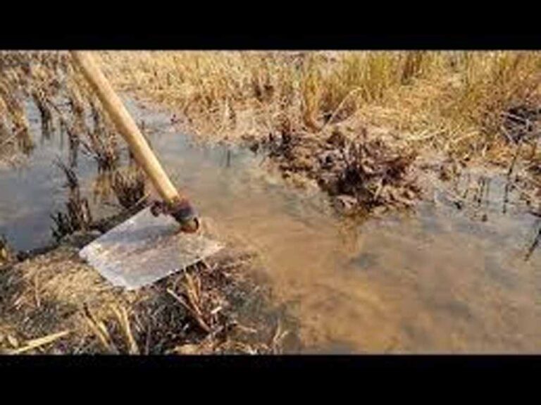 माखुपुरा में पीने के पानी की चोरी का भंडाफोड़, खेतों में सिंचाई का खुलासा