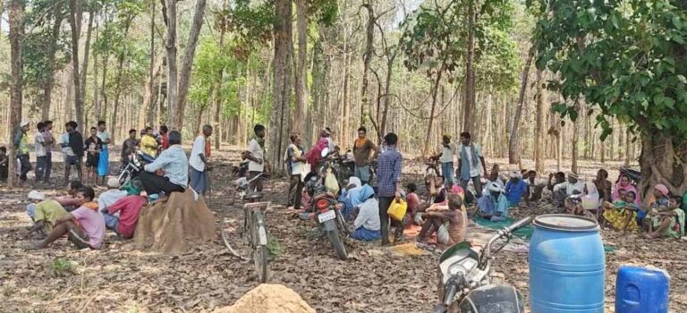 धमतरी जंगल में बड़ा एक्शन: अवैध कब्जों पर चला बुलडोजर, प्रशासन सख्त