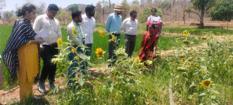 दीदी के बखरी से बदल रही तस्वीर : कांकेर में महिला किसानों की आय में क्रान्तिकारी