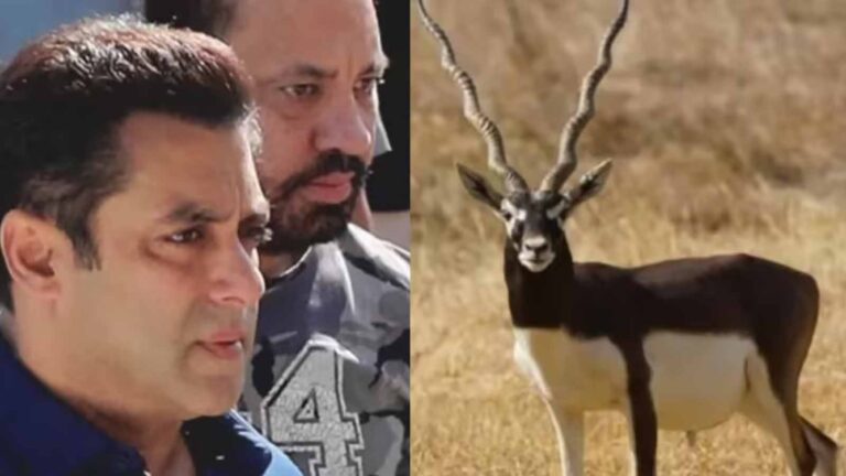 काला हिरण शिकार मामला: सलमान खान की अपील पर हाईकोर्ट में सुनवाई टली, 13 जुलाई को अगली तारीख