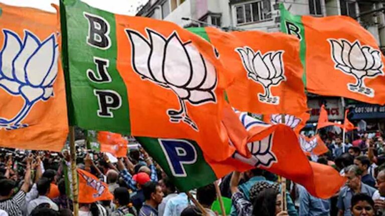 BJP राष्ट्रीय कार्यकारिणी गठन की तैयारी, छत्तीसगढ़ के पांच नेताओं को मिल सकती है जगह; 12 मई को अहम बैठक