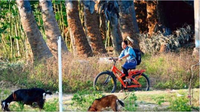 बिहार बालिका साइकिल योजना में बदलाव, साइकिल पर लगेगा नया स्लोगन और मोनोग्राम