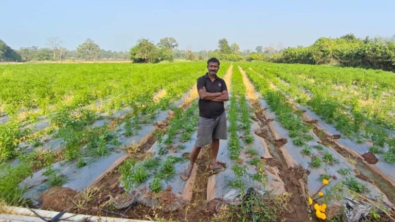 संघर्ष से समृद्धि- नक्सल मुक्त क्षेत्रों में आधुनिक खेती से कृषक गोपाल एर्रागोला ने रची सफलता की नई इबारत