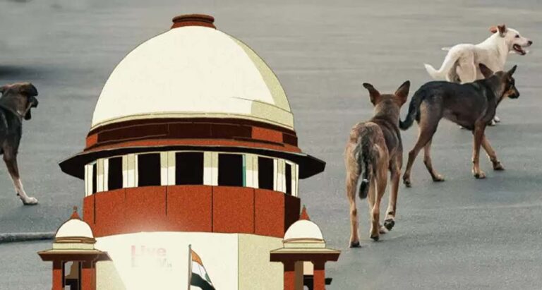 आवारा कुत्तों पर SC के आदेश से बढ़े सवाल, क्या शहरों में पर्याप्त शेल्टर मौजूद हैं?