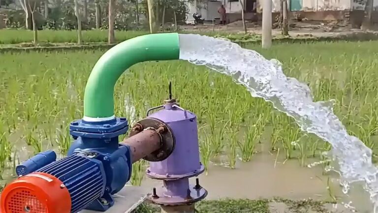 मात्र 5 रुपये में 1 लाख 10 हजार से अधिक किसानों को मिला नया स्थाई कृषि पंप कनेक्शन