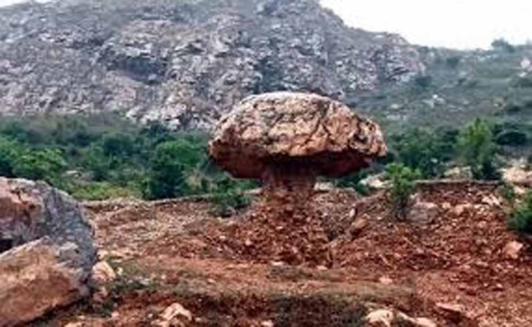 गया में मशरूम के आकार की अनोखी चट्टान बनी पर्यटकों का आकर्षण, गांव को मिली नई पहचान