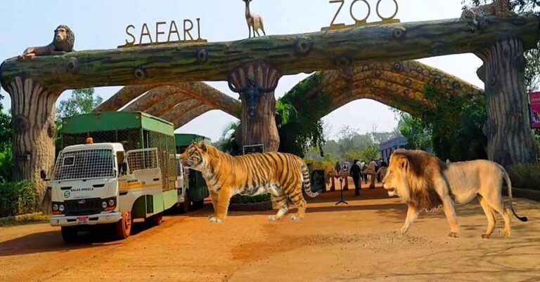 भीषण गर्मी का असर: रायपुर नंदन वन की जंगल सफारी 2 दिन रहेगी बंद