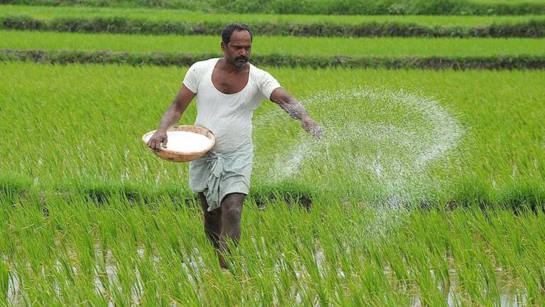 बदलती खेती में नैनो यूरिया और नैनो डीएपी बन रहे किसानों की नई पसंद