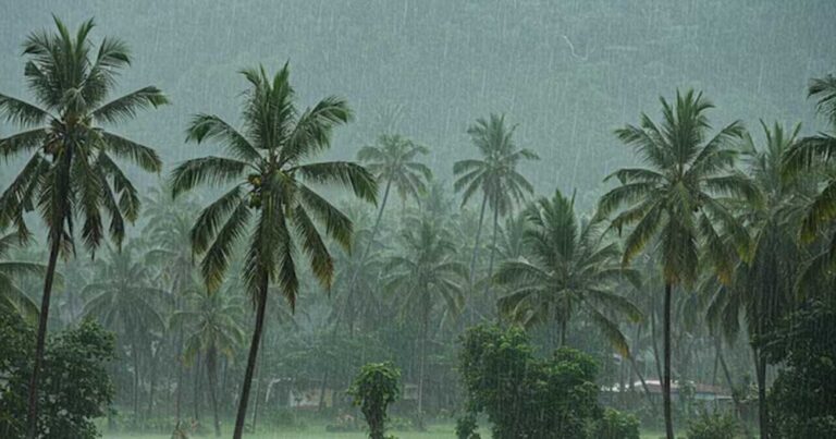 केरल में मॉनसून की रफ्तार धीमी, मौसम विभाग ने बताई देरी की वजह