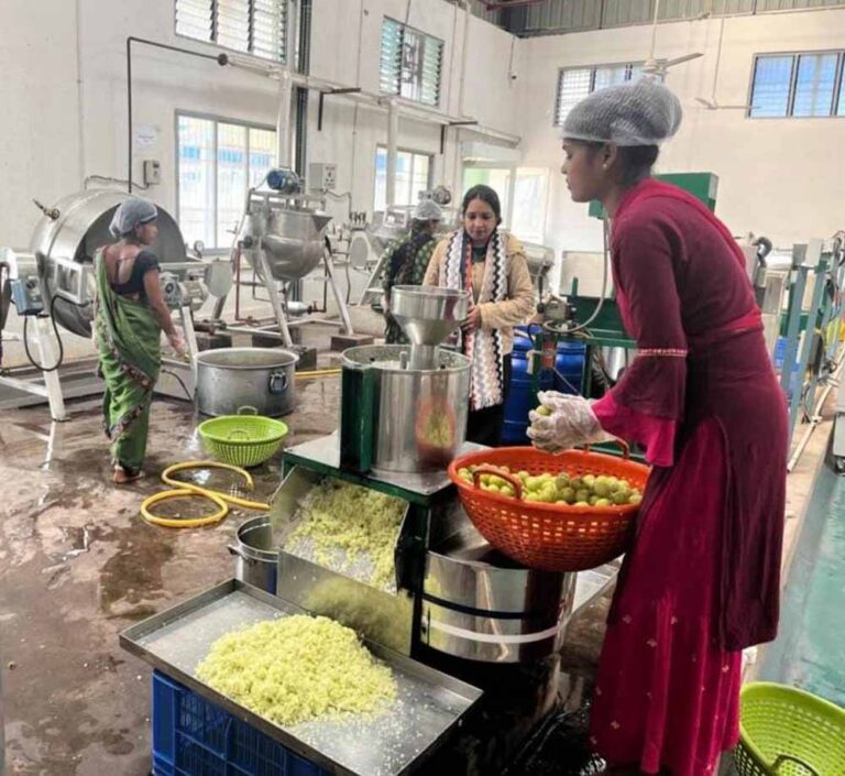 बदलता छत्तीसगढ़: वनोपज की चमक से संवरती ग्रामीण अर्थव्यवस्था