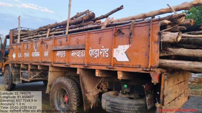 गौरेला क्षेत्र में सागौन की अवैध कटाई पर वन विभाग की बड़ी कार्रवाई