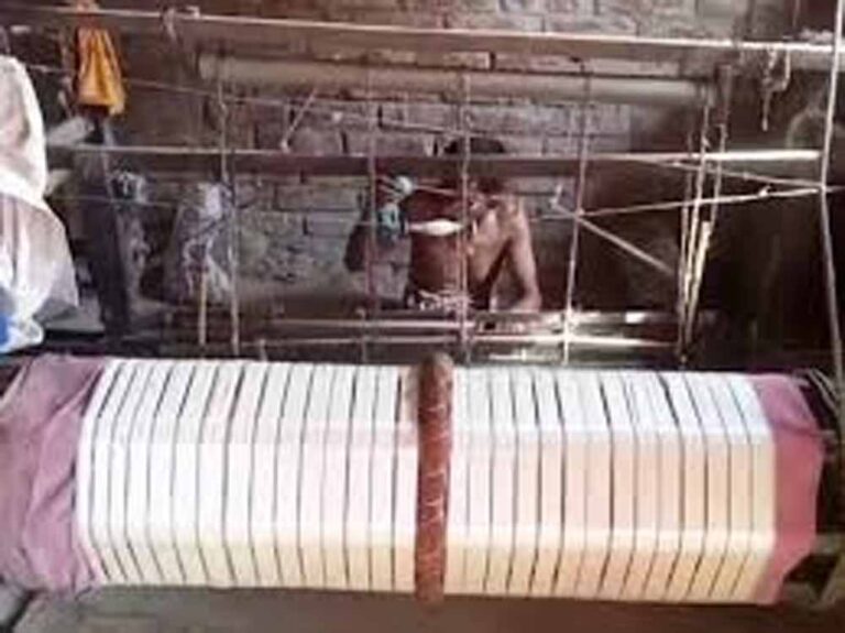 बिहार की तीन पारंपरिक कलाओं को मिला GI टैग, बावन बूटी साड़ी से लेकर पीढ़िया पेंटिंग तक को वैश्विक पहचान