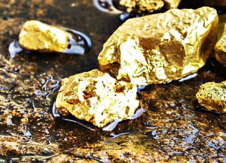 आंध्र प्रदेश में 50 टन सोने के भंडार का अनुमान, भारत को मिल सकती बड़ी राहत
