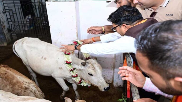 जन्मदिवस के अवसर पर वित्त मंत्री ओपी चौधरी ने की गौ-सेवा, संरक्षण के प्रयासों को सराहा