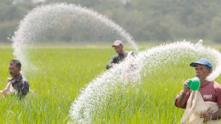 राजस्थान में चौंकाने वाले आंकड़े: कीटनाशक संपर्क से 2 साल में 535 किसानों की मौत