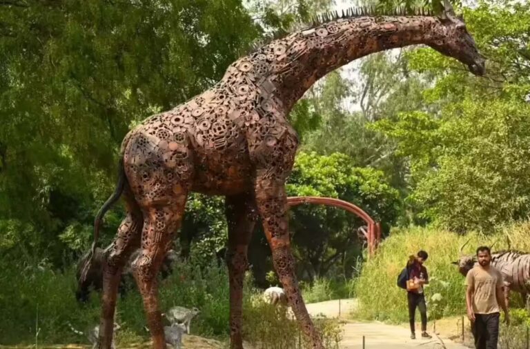 झारखंड के सभी वन क्षेत्रों में 1 जुलाई से 3 महीने तक पर्यटन और गतिविधियों पर रोक