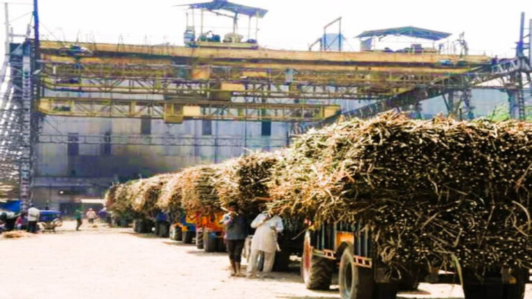 किसानों को घटिया उर्वरक व कीटनाशक देने वाली चीनी मिलों की जब्त हो सकती है बैंक गारंटी