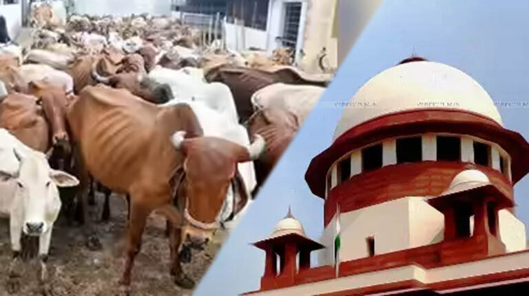तमिलनाडु में गौहत्या मामले पर सुप्रीम कोर्ट का बड़ा फैसला, HC के आदेश पर रोक हटाई, राज्य सरकार को राहत