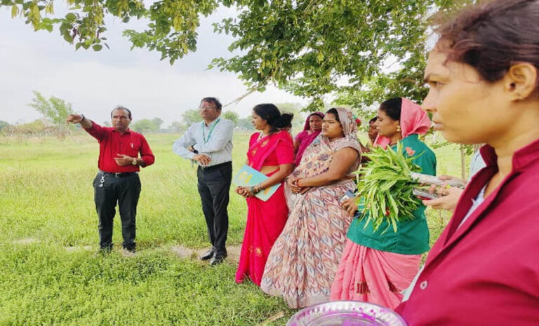 धमतरी मॉडल बना देश के लिए प्रेरणा, औषधीय पौधों की खेती से बदली महिलाओं की तकदीर, बढ़ेगा दायरा