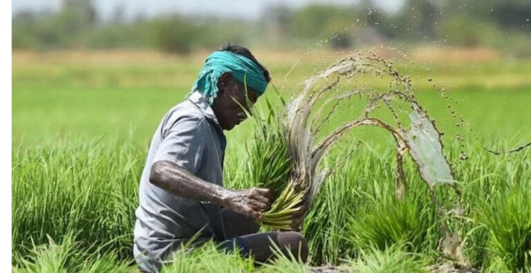 प्राकृतिक खेती में राजस्थान की बड़ी छलांग, 2.12 लाख किसान मिशन से जुड़े