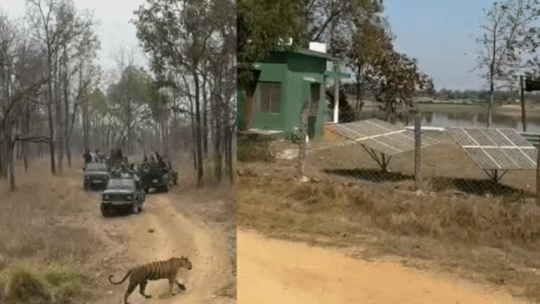 बैतूल बनेगा देश का ग्रीन मॉडल, जंगल और वनवासियों के लिए ₹100 करोड़ का मेगा प्रोजेक्ट