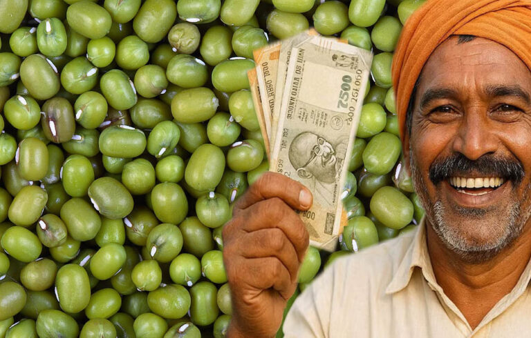 मूंग किसानों की हुई बल्ले-बल्ले! प्रदेश में रेट ₹500 प्रति क्विंटल बढ़े, सरकार की बढ़ी चिंता