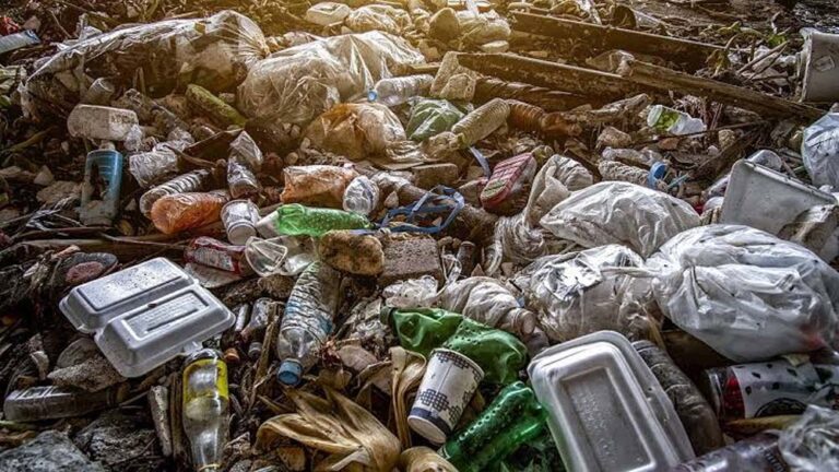 एमसीडी ने 5900 टन नए कूड़े के निस्तारण का प्लान तैयार किया