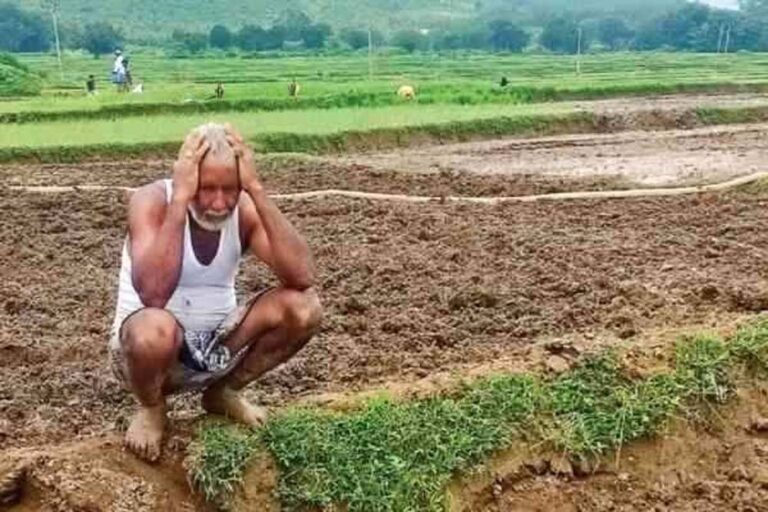 झारखंड में मानसून कमजोर, धान रोपनी पिछड़ी और किसानों की चिंता बढ़ी