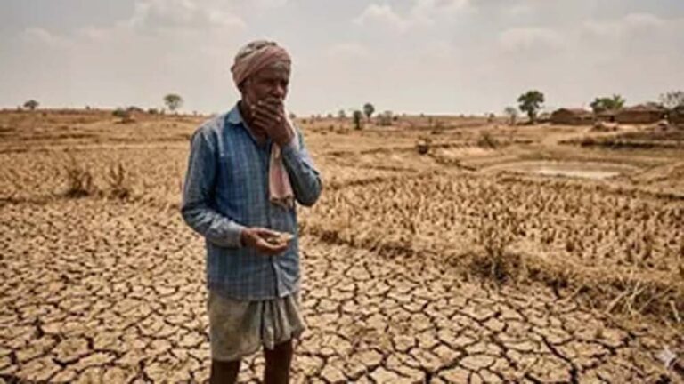 बिहार में कम बारिश का अलर्ट, कृषि वैज्ञानिकों ने किसानों को दी सूखा-रोधी खेती की सलाह