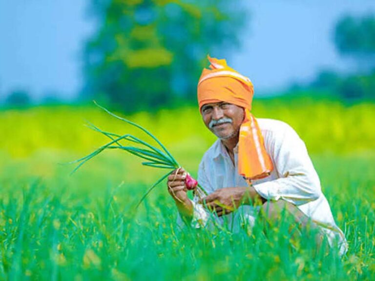 फसल बीमा कंपनियों पर सख्ती, सर्वे और क्लेम में देरी पर होगा जुर्माना